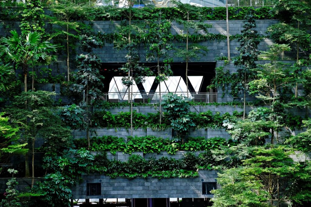 The facade of a commercial building covered with trees