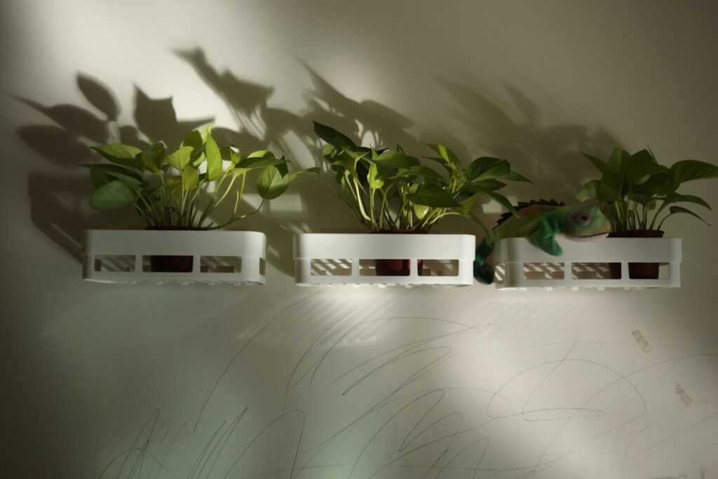 Air garden.