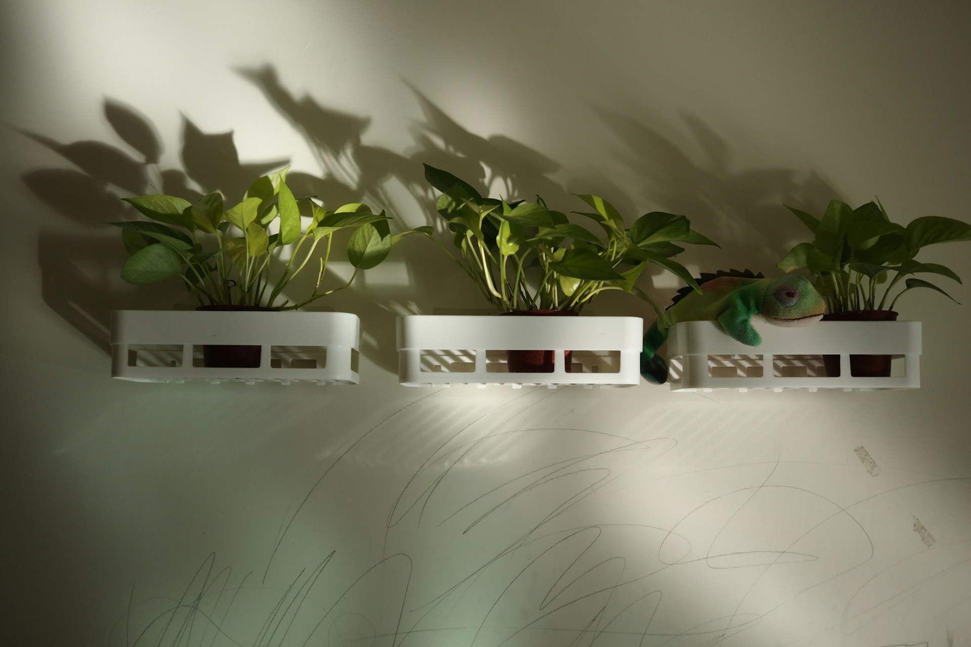 Air garden.
