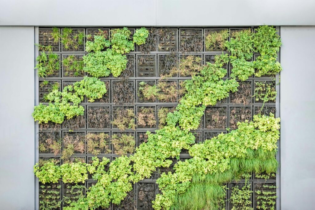 Plants growing.