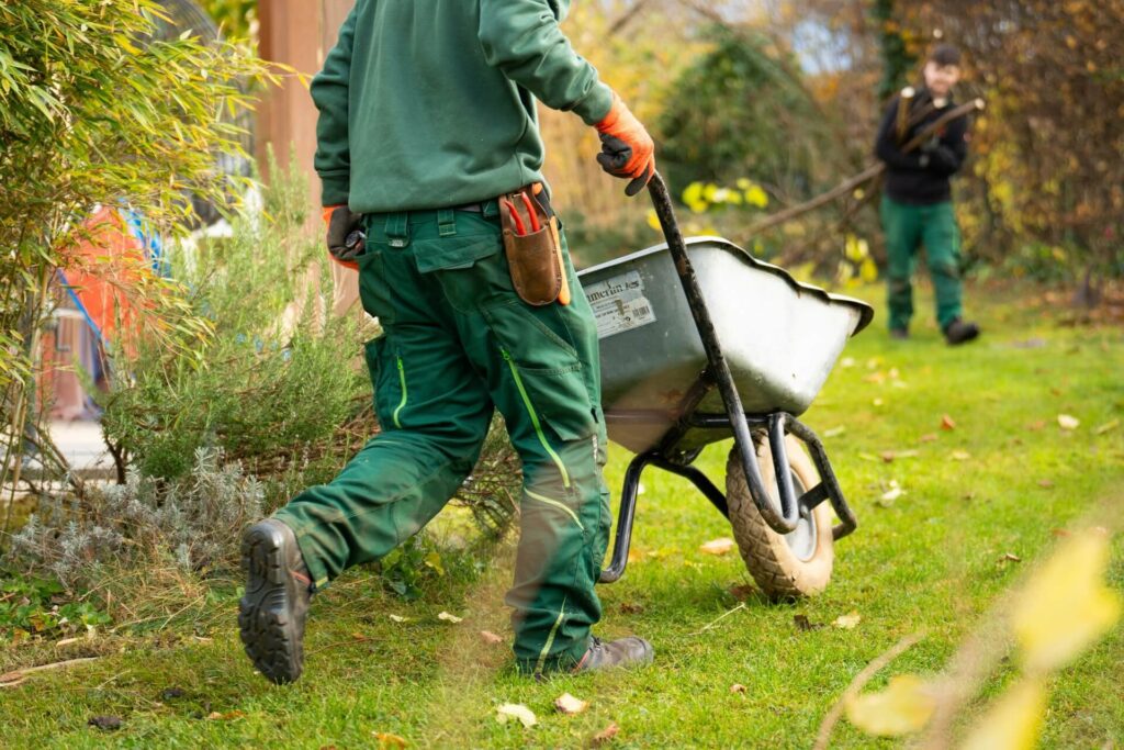 Landscapers working in a garden with wheelbarrows