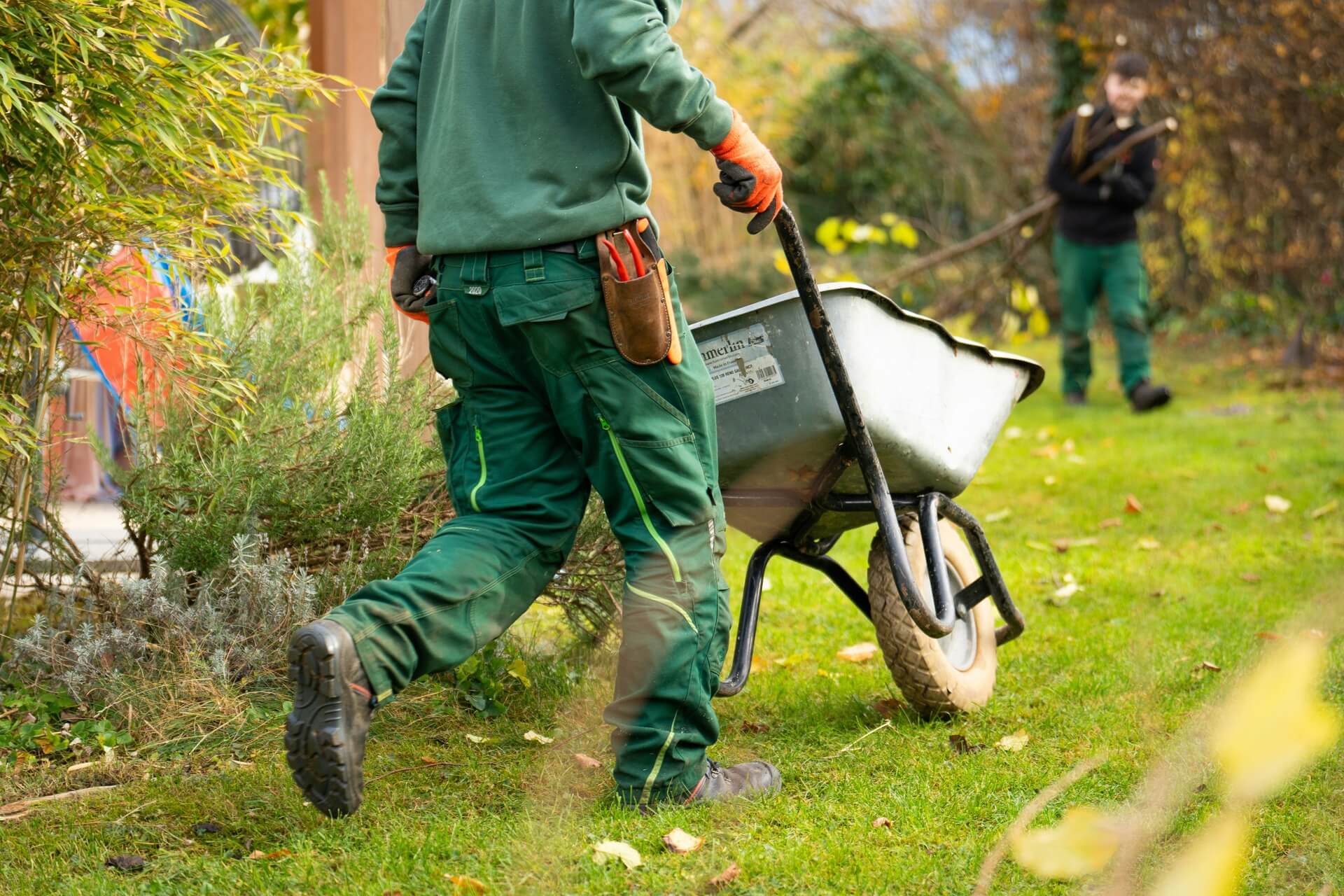 Landscapers working in a garden with wheelbarrows