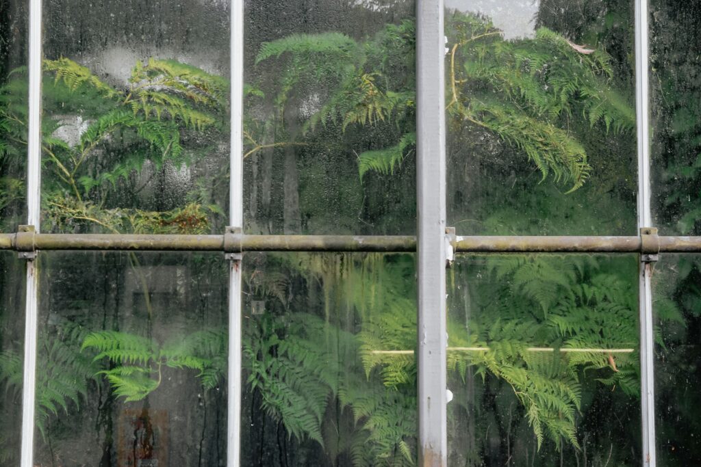 The DIY greenhouse can cater for exotic plants.