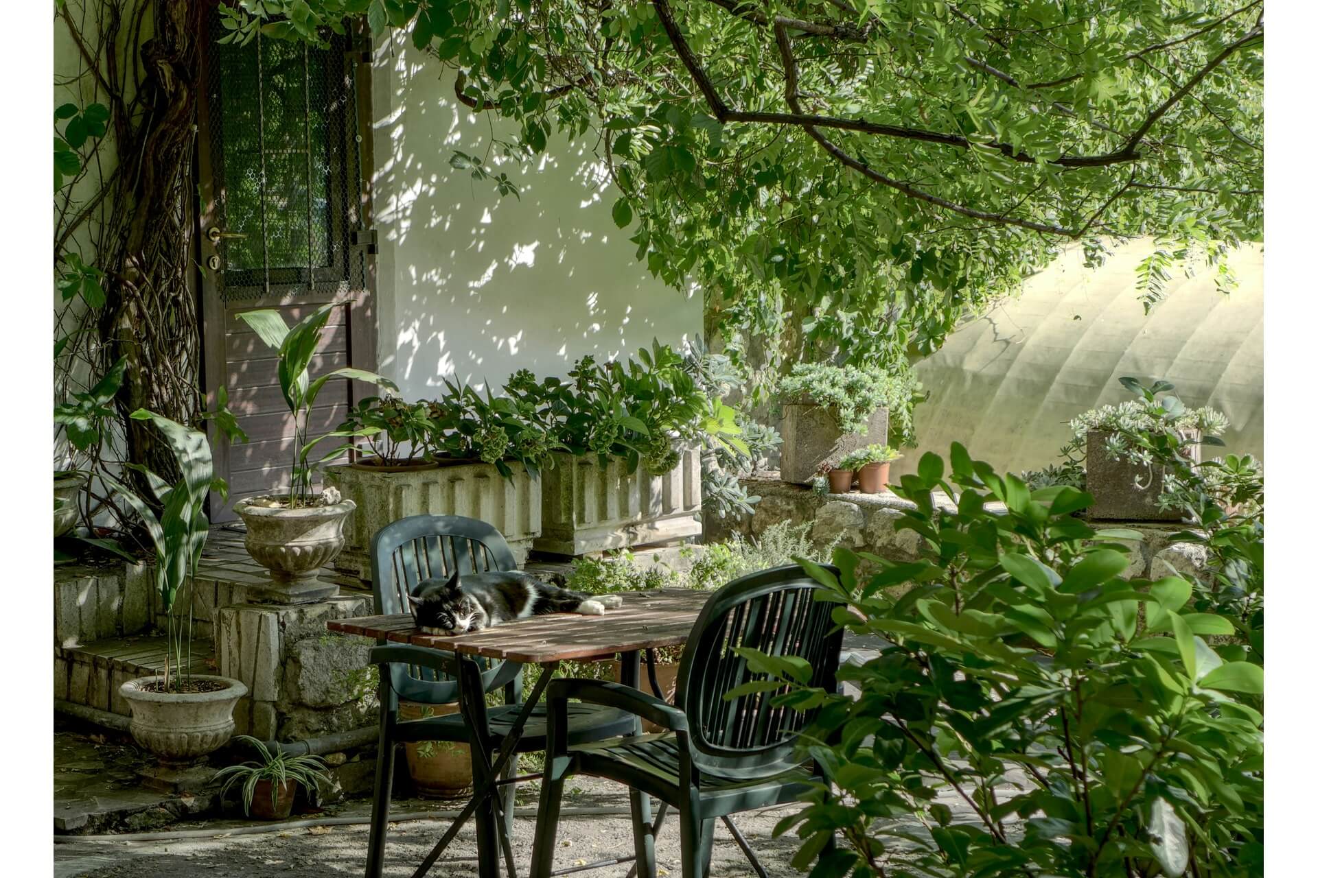 A cat sleeping on a table in a home garden
