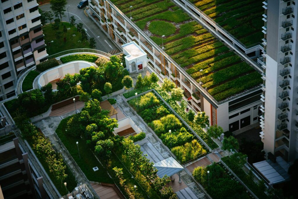 Green roofs on top of buildings in a city