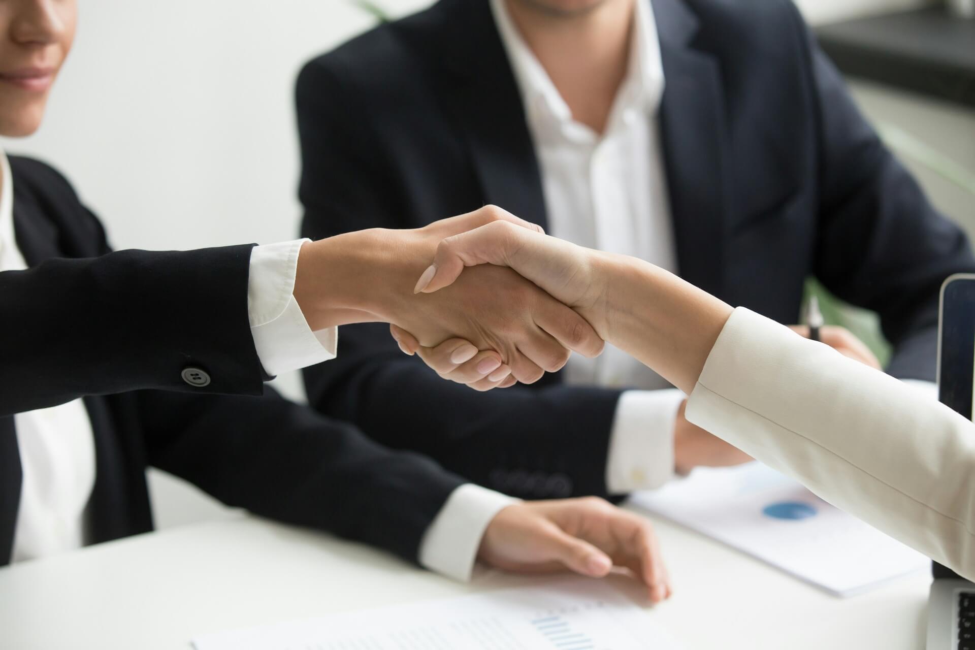 Two persons shaking hands