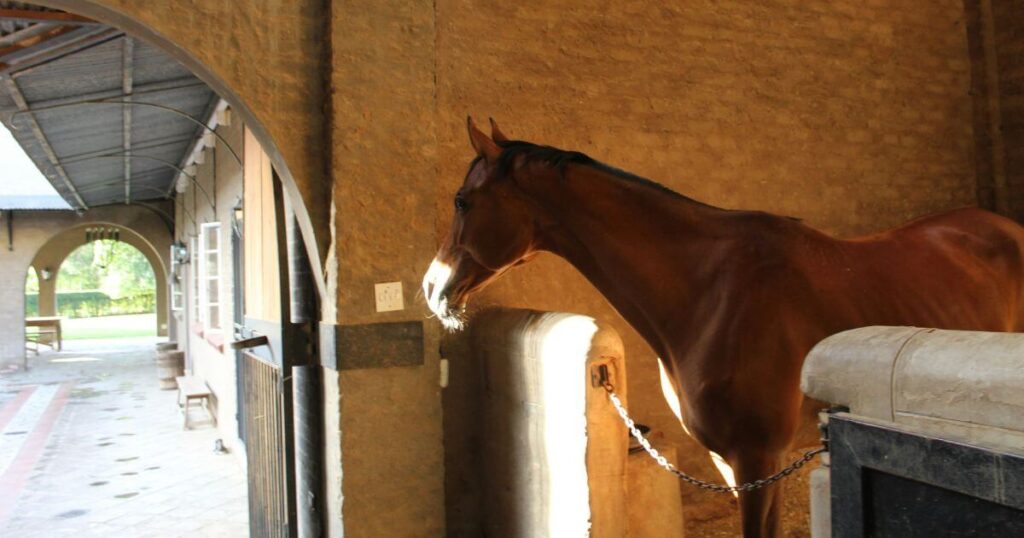 Horse Barns