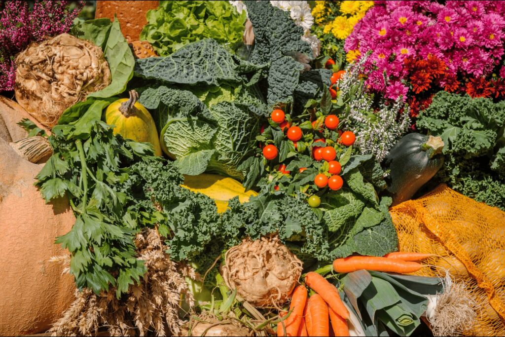 A colorful variety of vegetables and flowers