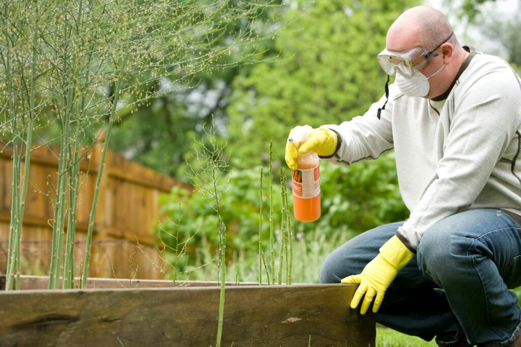 A person wearing gloves, goggles and a mask applying pesticides to plants in a raised garden bed
