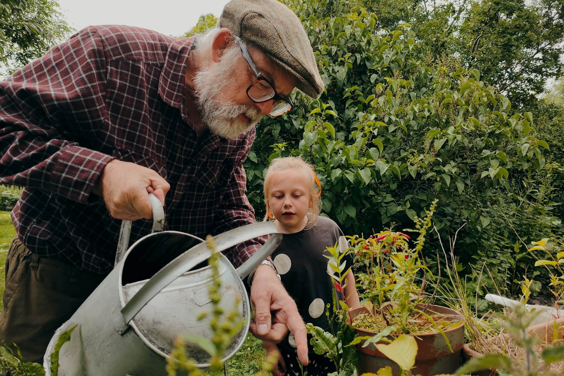 Grandfather and granddaughter gardening together