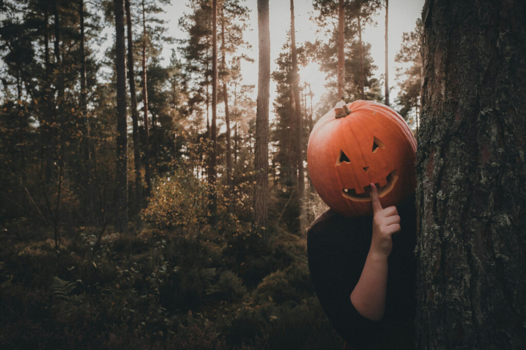 Explore pumpkins facts you never knew.