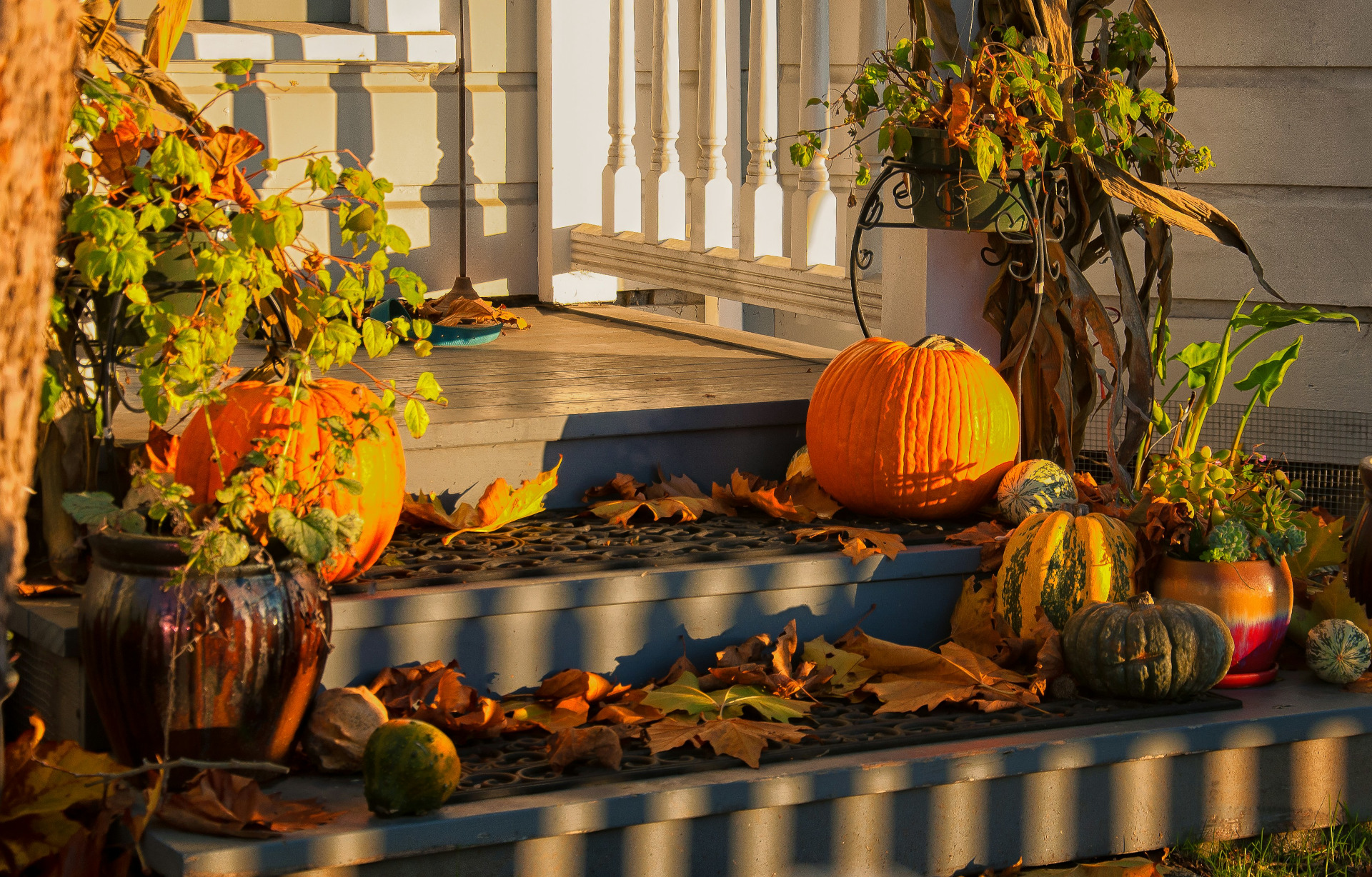 Discover fall landscaping ideas for a beautiful yard on a budget.