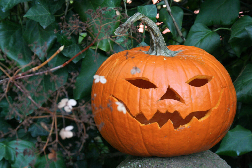 Did you know that the history of pumpkin carving originates in Ireland?