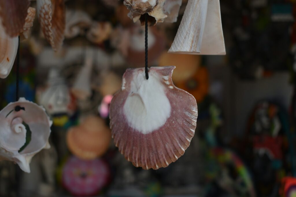 Shells hanging from a string