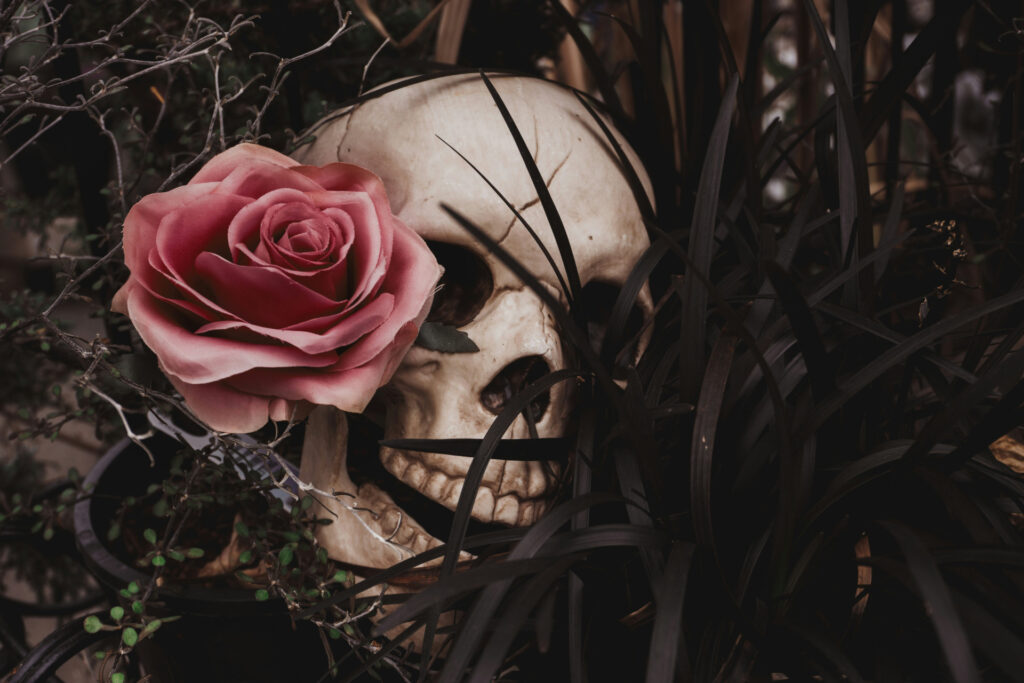 What are the world's most poisonous plants?