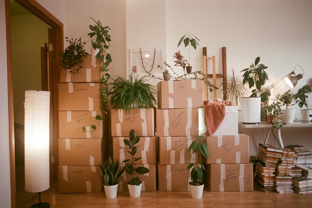 Sealed boxes, potted plants, stacks of books and lighting fixtures