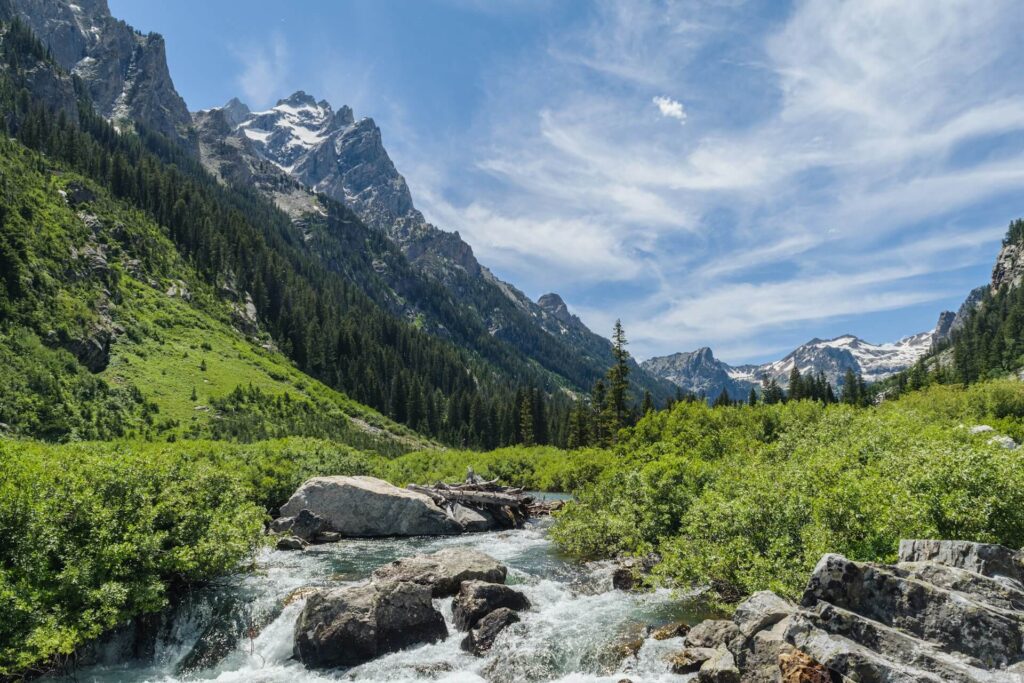 Water flowing through Grand Teton National Park