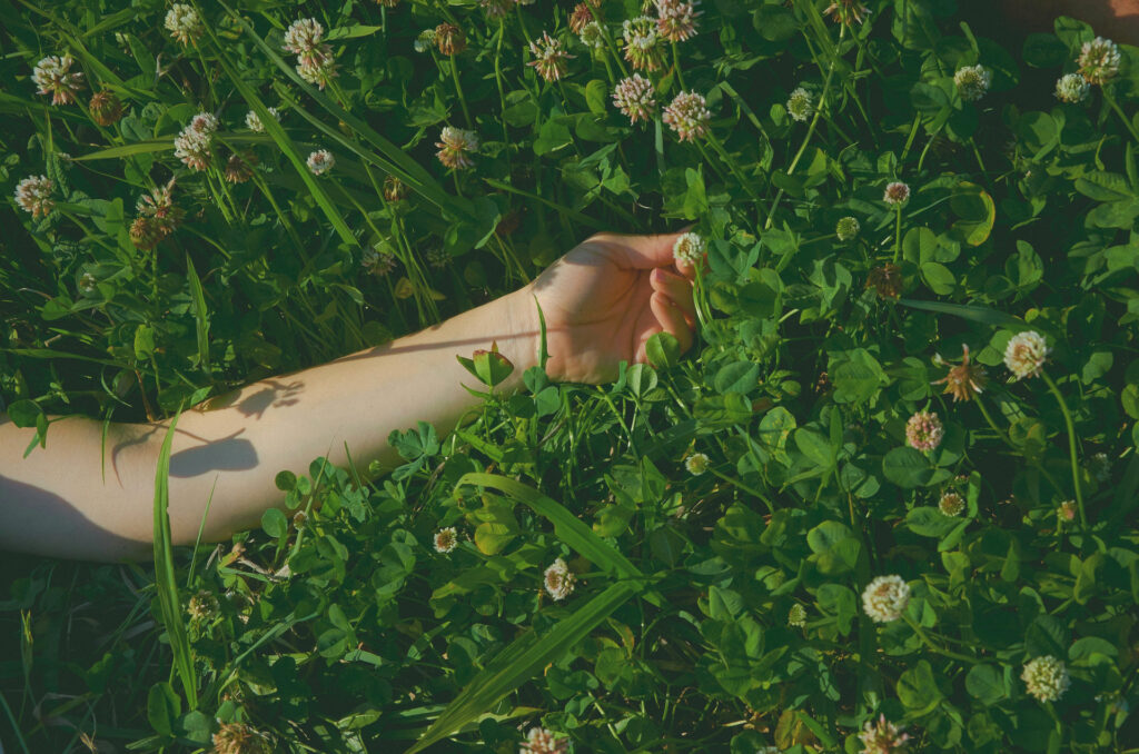 A clover lawn feels luxurious underfoot.
