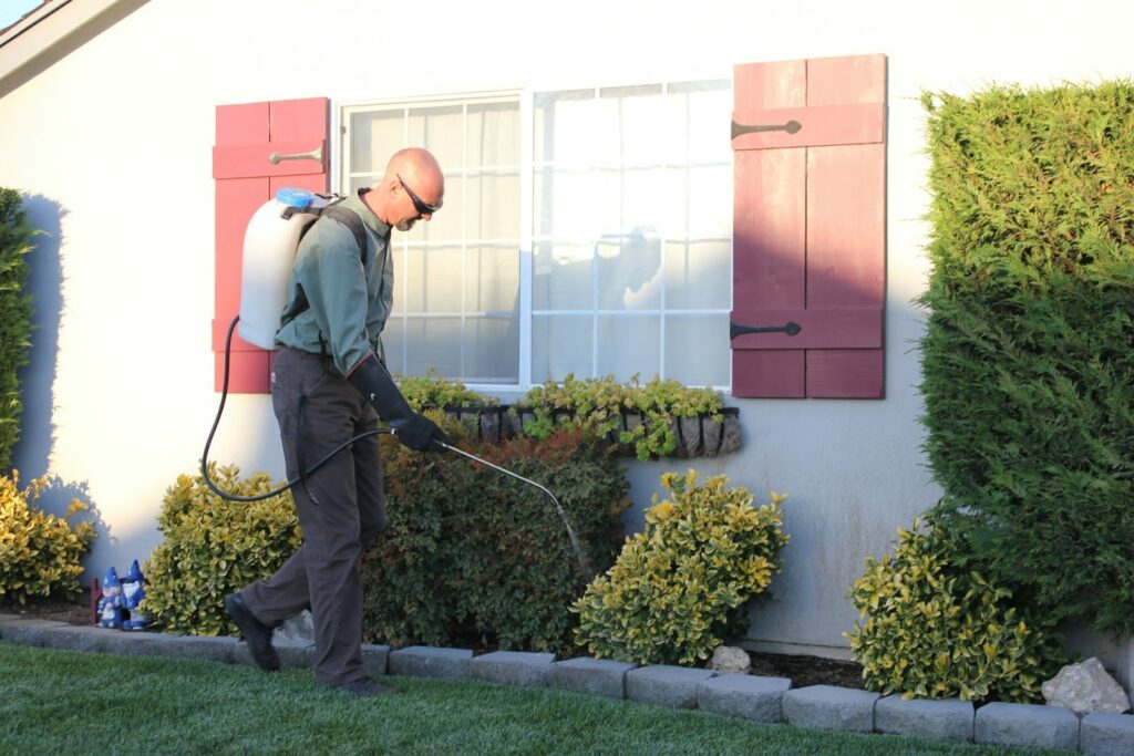 A person wearing sunglasses and gloves sprays plants with a backpack sprayer in a well-kept garden by a house with red shutters. Cozy, sunny atmosphere.