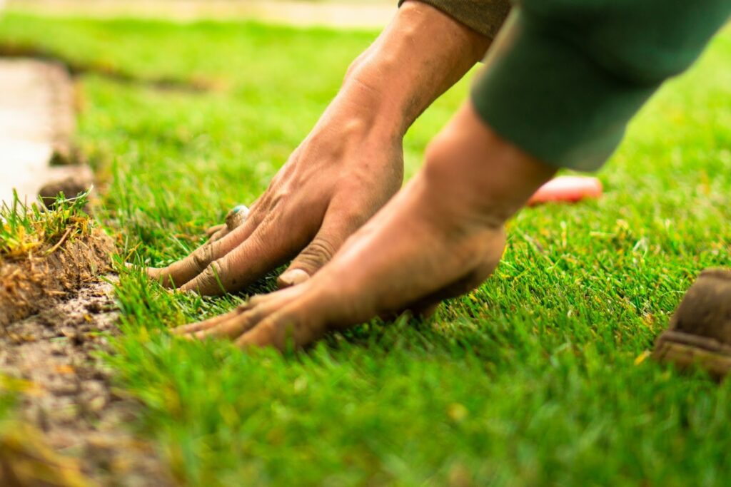 Close-up of hands tending to green grass, adjusting turf edges. A serene gardening scene conveys care and attentiveness to lawn maintenance.