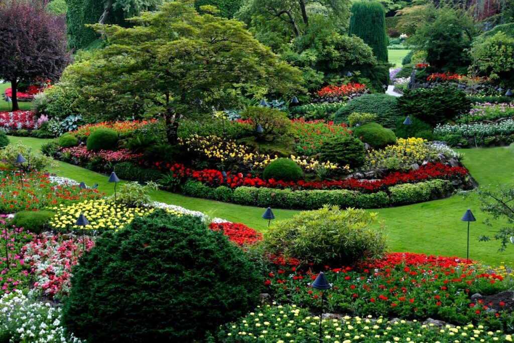 A vibrant garden with colorful flower beds of red, yellow, and white blooms, lush green shrubs, and a small tree in the center, evoking tranquility.