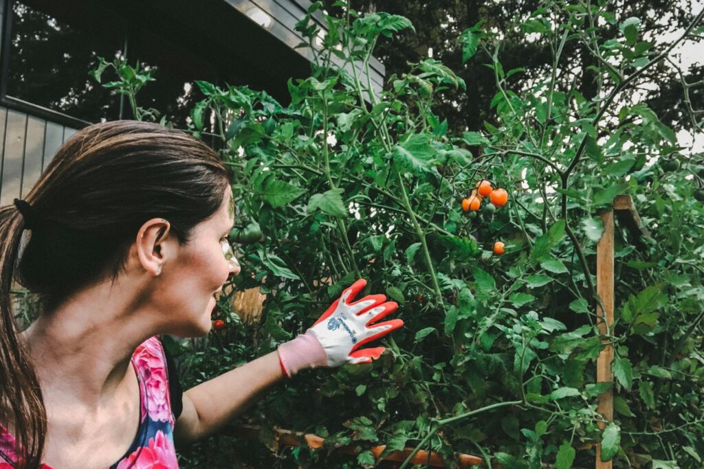 woman in purple checking vegetable garden