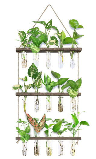 An easy way to bring outdoors inside, this hanging item features glass and wood.
