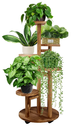 Let nature into your home with a tiered wooden plant stand.