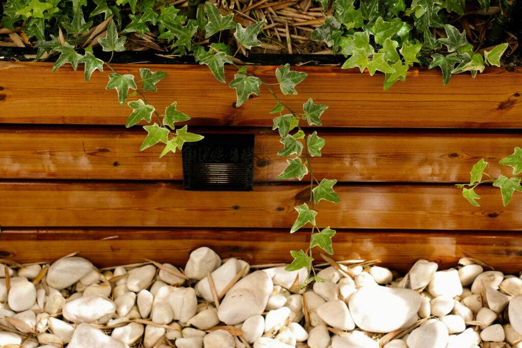 Make the most of gravel gardening.