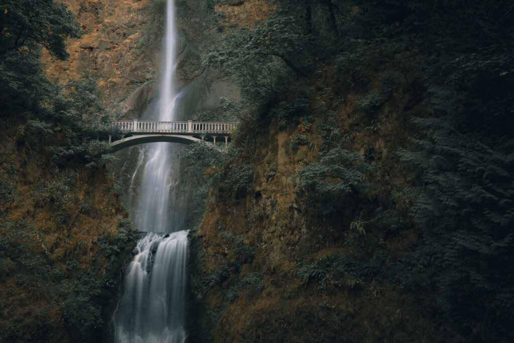 Find out how expensive it is to live in Oregon.